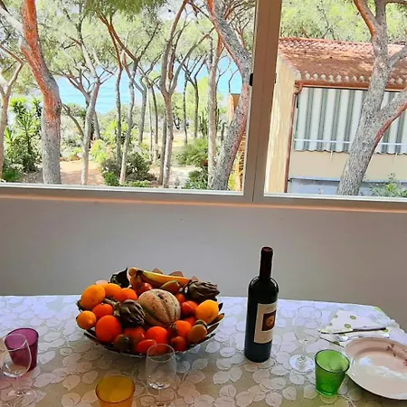 Casa Pillo Nereidi - 30 M Dal Mare E Con Vista Mare *